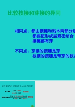 八年级生物上册 第十章 第四节 生物生殖的多种方式 植物的营养繁殖 讨论答案课件 (新版)北京版 课件