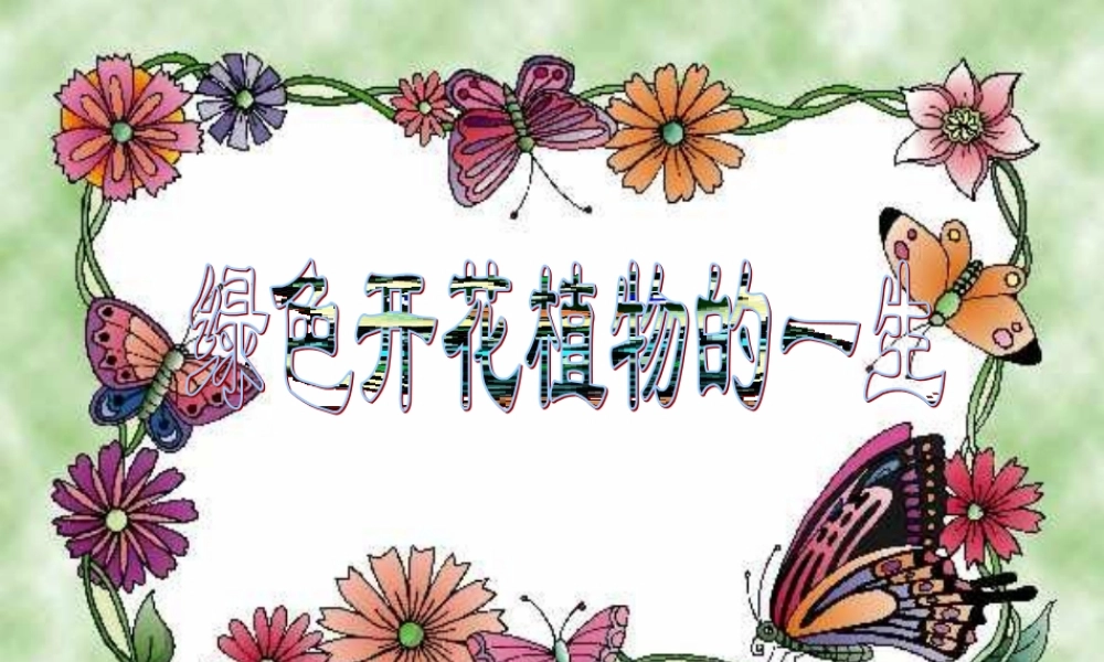 初中生物第四单元第一章绿色开花植物的一生复习课件(济南版) 课件
