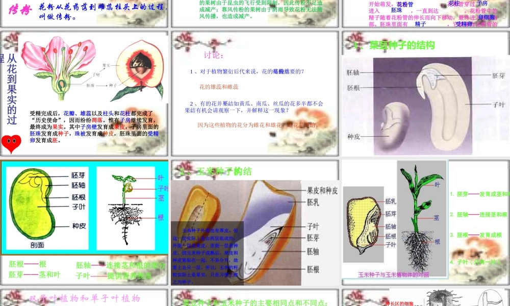 初中生物第四单元第一章绿色开花植物的一生复习课件(济南版) 课件