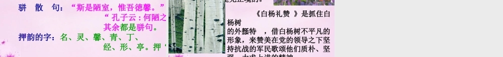 初中部八年级语文下册 2.10 陋室铭课件 (新版)苏教版 课件