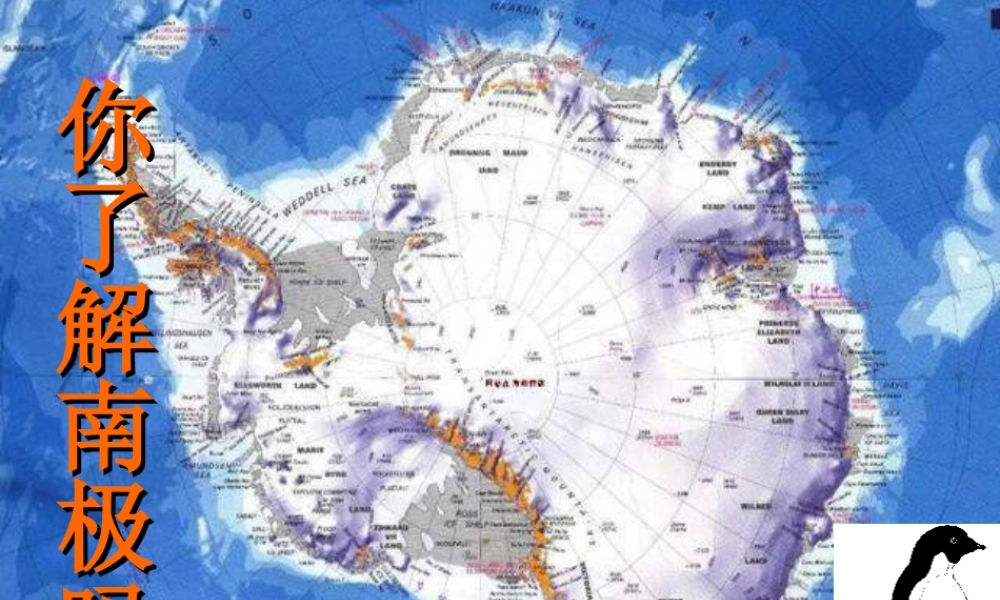 七年级语文下册 第五单元第21课 (伟大的悲剧)(二)课件 人教新课标版 课件