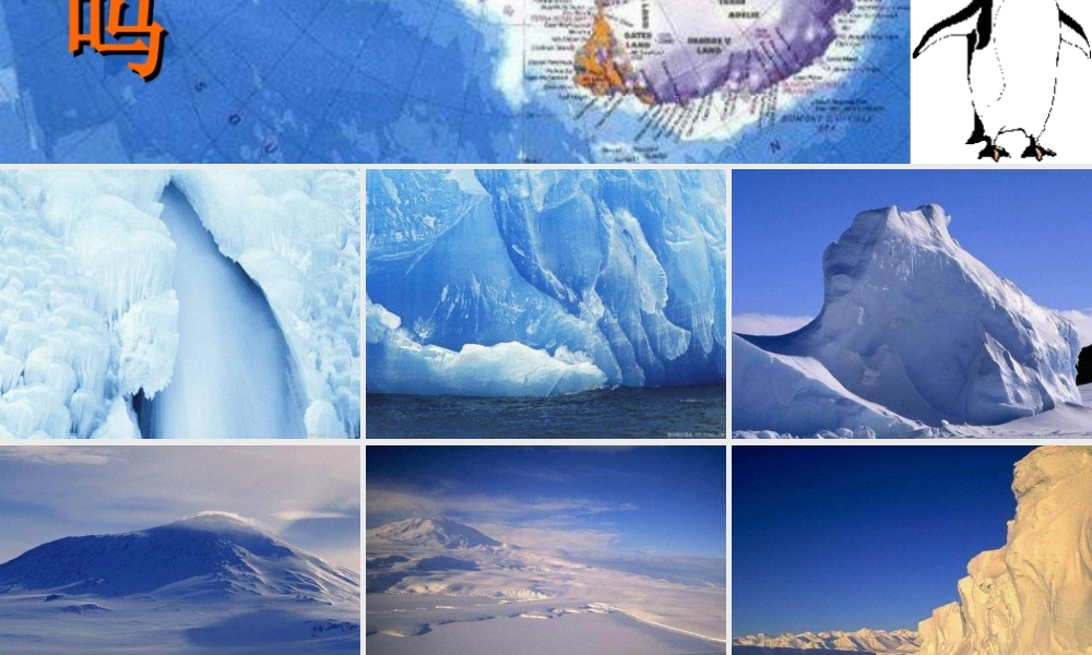 七年级语文下册 第五单元第21课 (伟大的悲剧)(二)课件 人教新课标版 课件