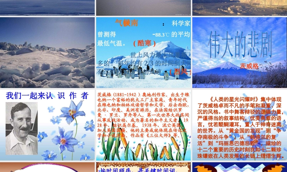 七年级语文下册 第五单元第21课 (伟大的悲剧)(二)课件 人教新课标版 课件