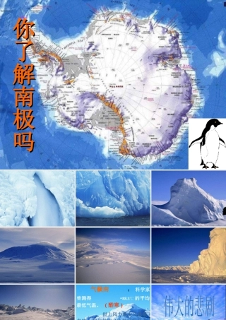 七年级语文下册 第五单元第21课 (伟大的悲剧)(二)课件 人教新课标版 课件