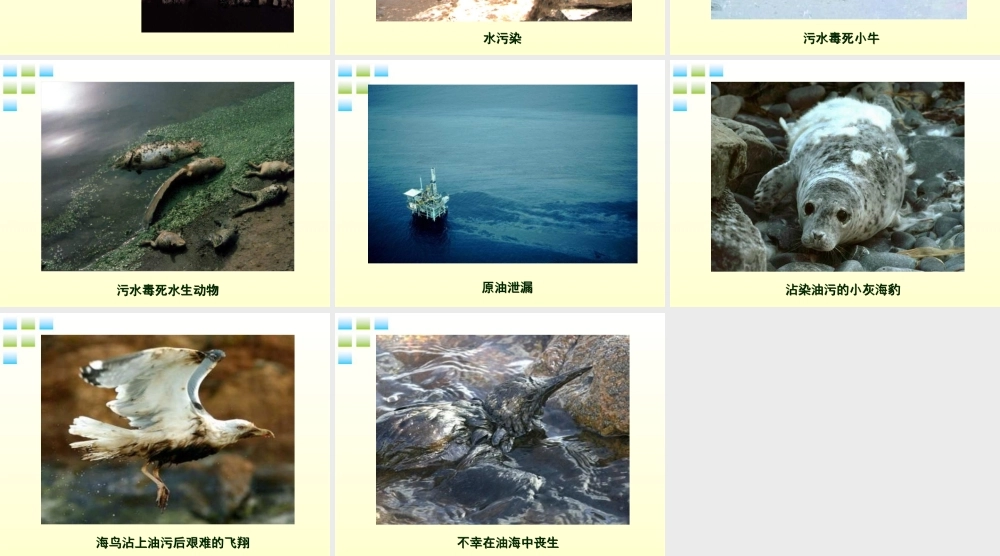 七年级生物下册 环境污染对生物的影响1课件 人教新课标版 课件