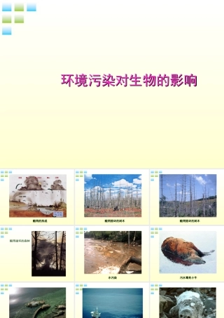 七年级生物下册 环境污染对生物的影响1课件 人教新课标版 课件