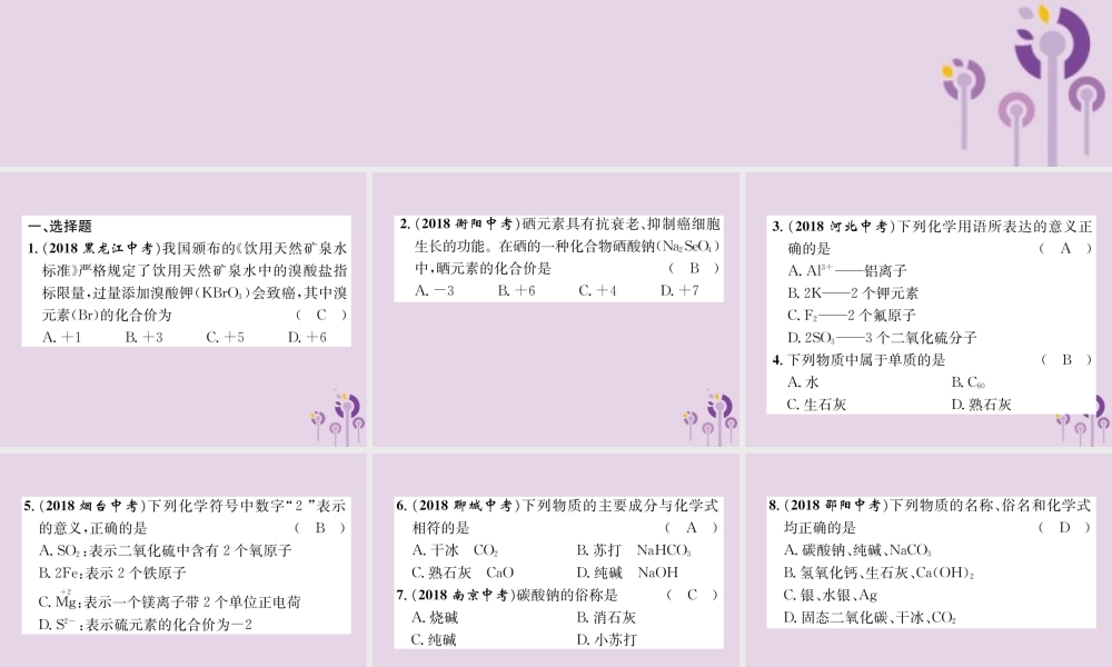 中考化学总复习 第1编 主题复习 模块2 物质构成的奥秘 课时10 化学式和化合价 物质的分类(精练)课件