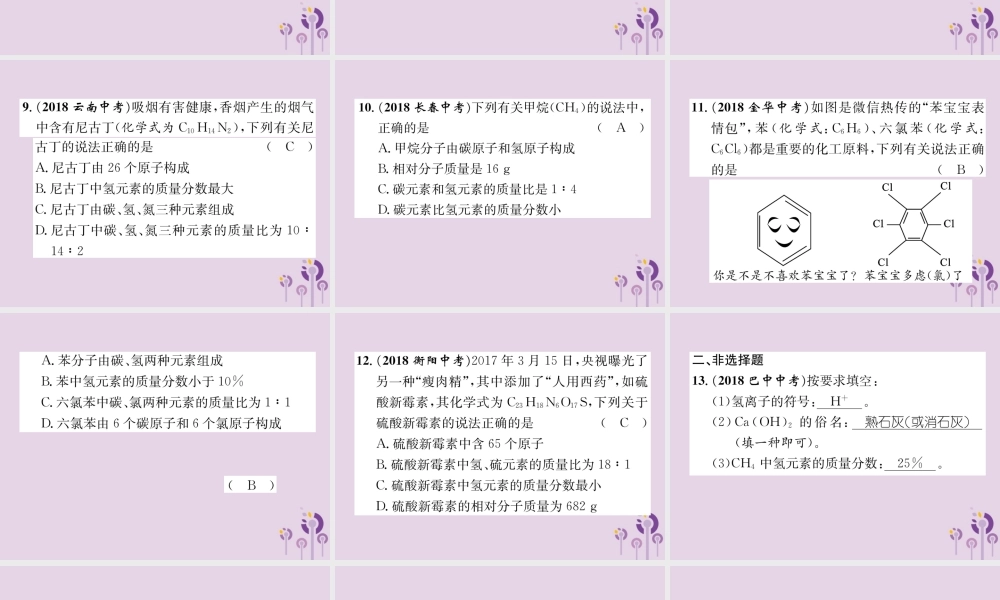 中考化学总复习 第1编 主题复习 模块2 物质构成的奥秘 课时10 化学式和化合价 物质的分类(精练)课件