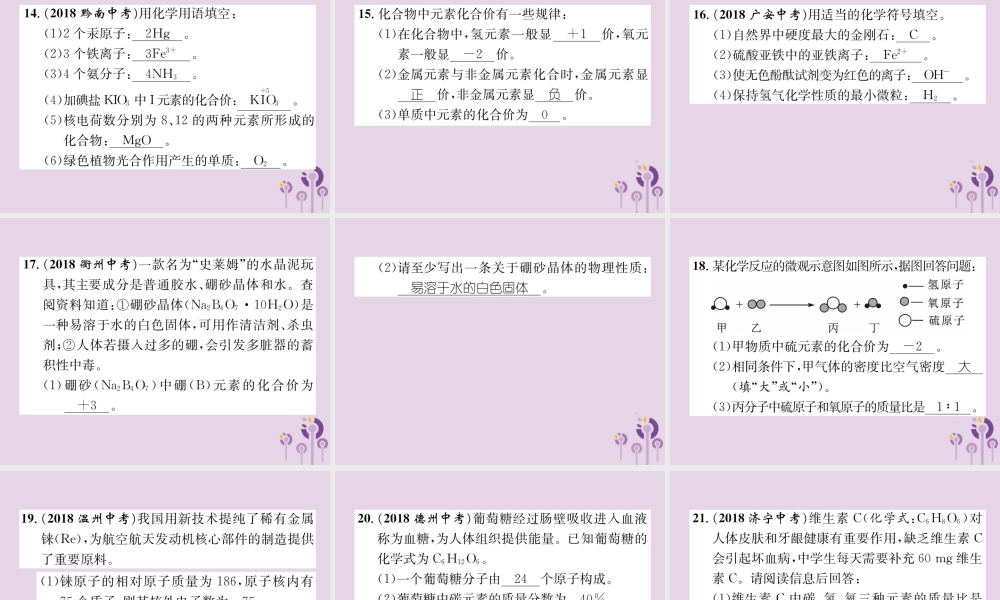 中考化学总复习 第1编 主题复习 模块2 物质构成的奥秘 课时10 化学式和化合价 物质的分类(精练)课件