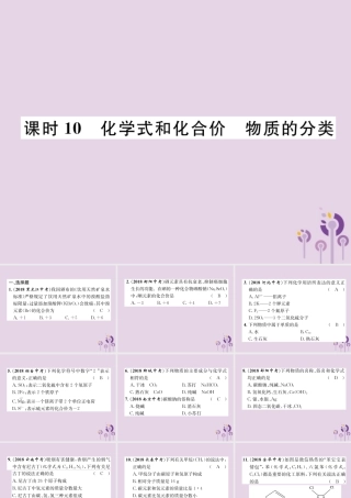 中考化学总复习 第1编 主题复习 模块2 物质构成的奥秘 课时10 化学式和化合价 物质的分类(精练)课件