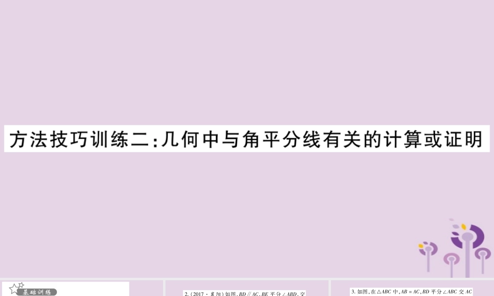 中考数学复习 第一轮 考点系统复习 第4章 三角形 方法技巧训练2：几何中与角平分线有关的计算或证明习题课件