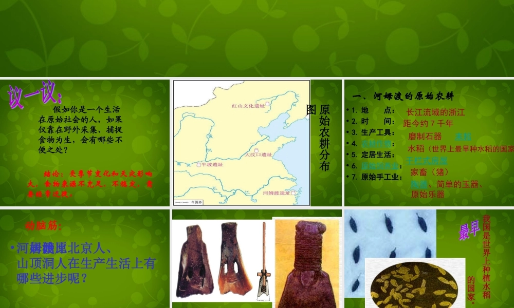 中学七年级历史上册 第2课 原始的农耕生活课件 新人教版 课件