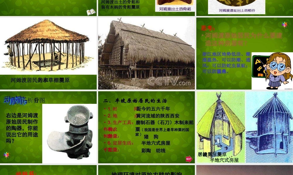 中学七年级历史上册 第2课 原始的农耕生活课件 新人教版 课件