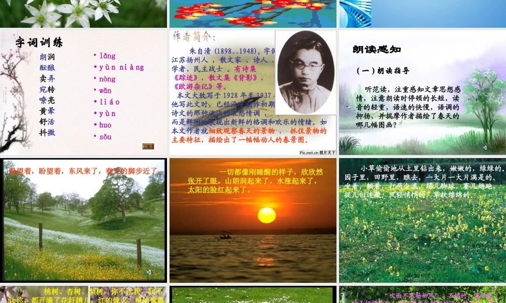 七年级语文上册 (春)优秀教学课件 人教新课标版 课件