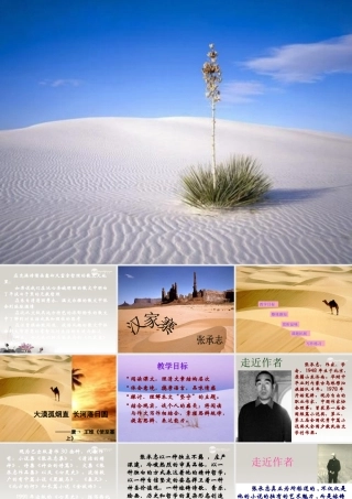 中学高三语文(汉家寨)课件
