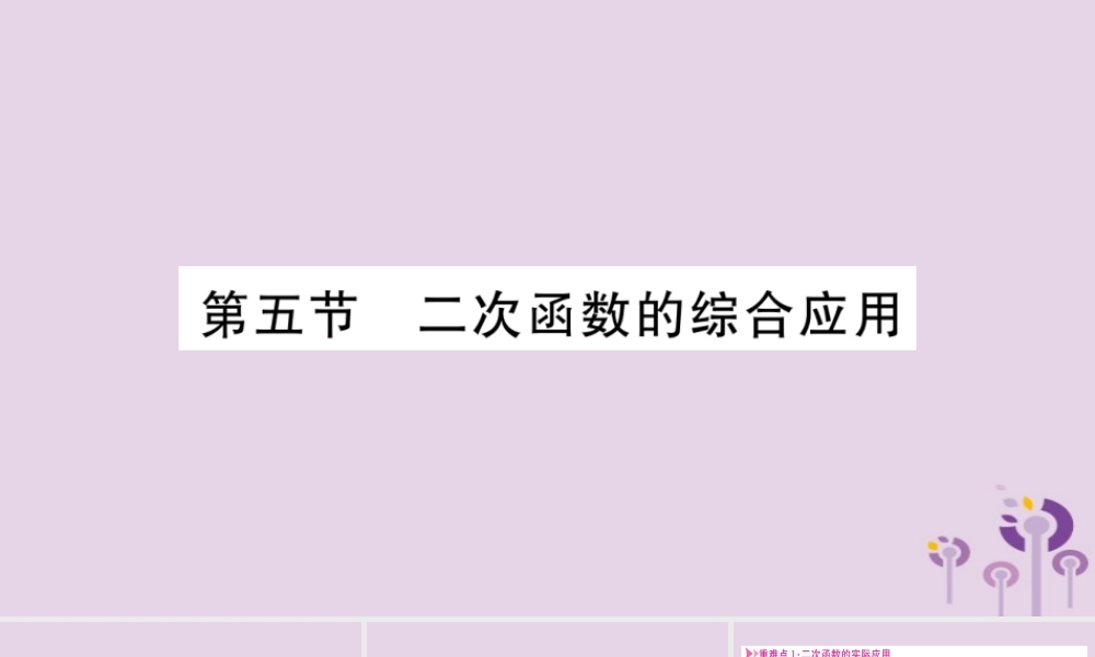 中考数学复习 第一轮 考点系统复习 第3章 函数 第5节 二次函数的综合应用导学课件