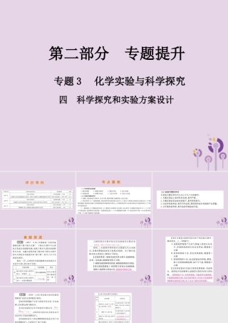 中考化学总复习 第二部分 专题提升 专题3 化学实验与科学探究 四 科学探究和实验方案设计课件