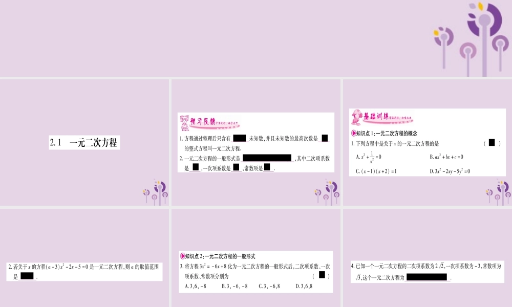 九年级数学上册 第2章 一元二次方程 21 一元二次方程作业课件 (新版)湘教版 课件