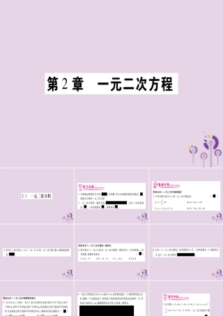 九年级数学上册 第2章 一元二次方程 21 一元二次方程作业课件 (新版)湘教版 课件