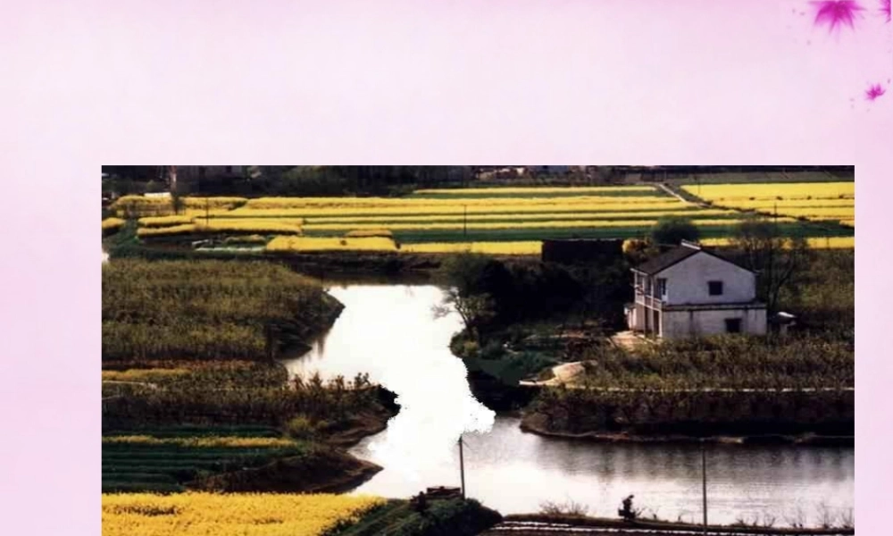 八年级语文上册 第12课 桥之美课件 新人教版 课件