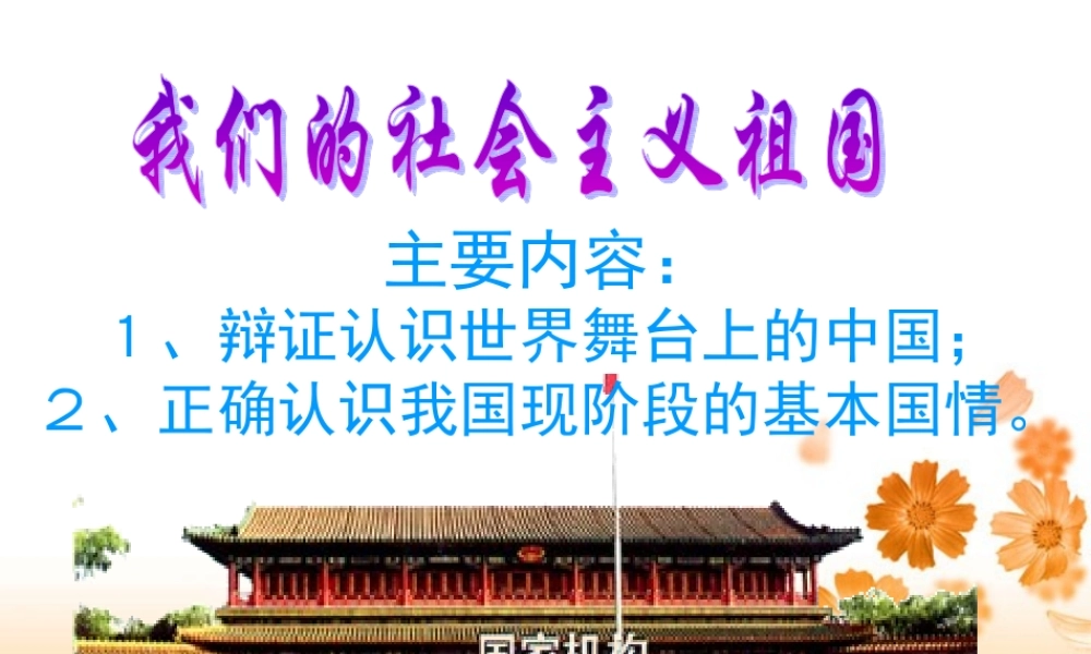 九年级政治我们的社会主义祖国课件 新课标 人教版 课件