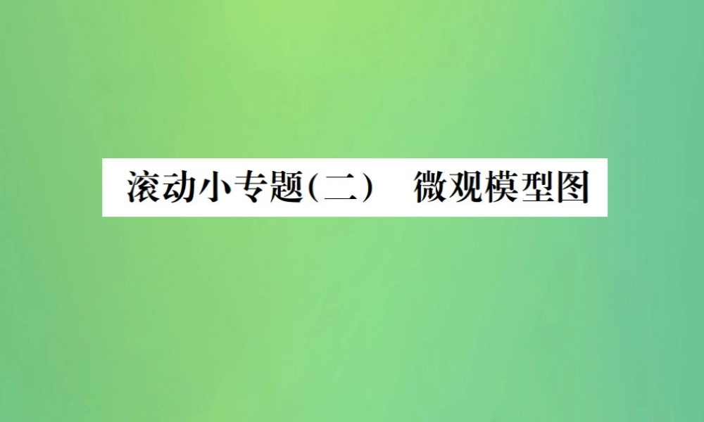 中考化学总复习 滚动小专题(二)微观模型图课件