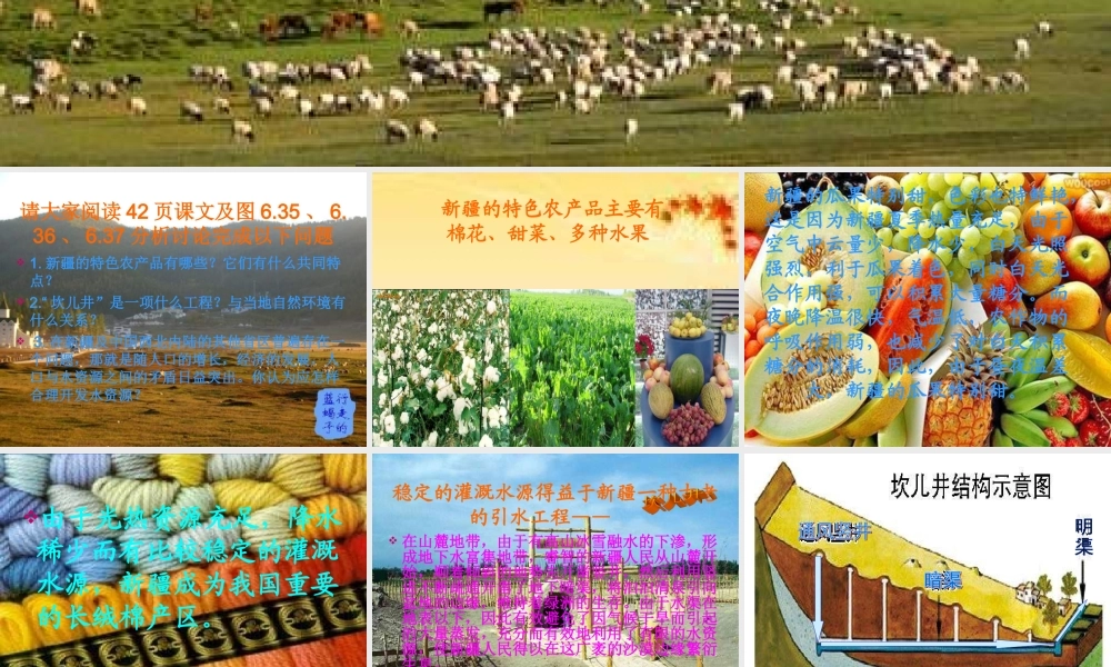 八年级地理 新疆维吾尔自治区课件 湘教版 课件