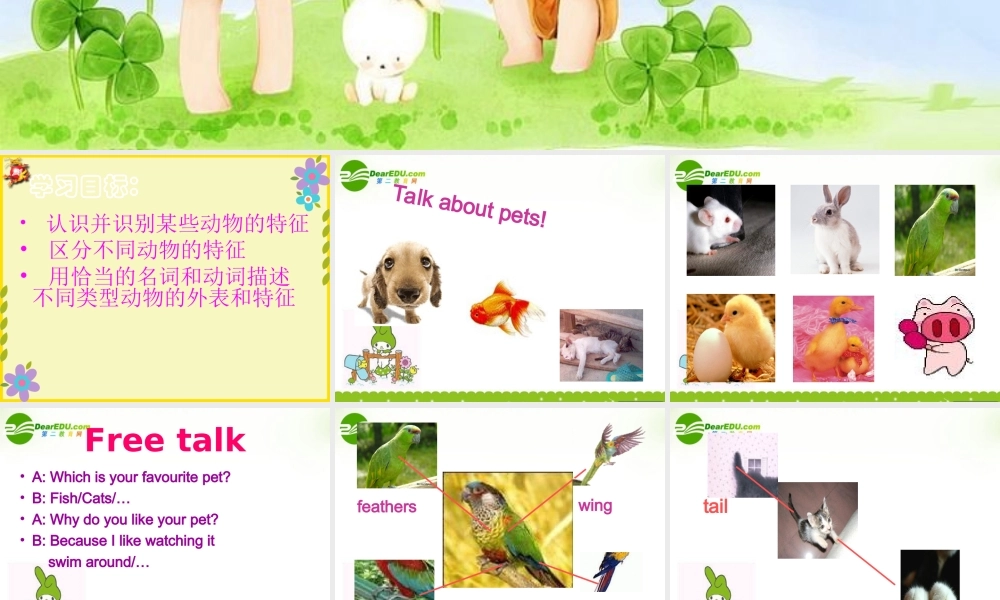 七年级英语下册：Unit 6 Pets Vocabulary课件(译林牛津版) 课件