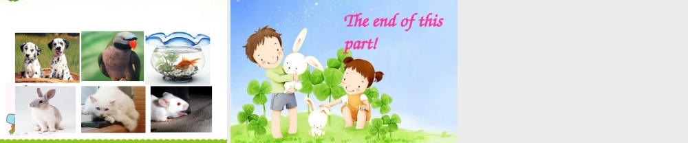 七年级英语下册：Unit 6 Pets Vocabulary课件(译林牛津版) 课件