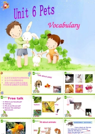 七年级英语下册：Unit 6 Pets Vocabulary课件(译林牛津版) 课件