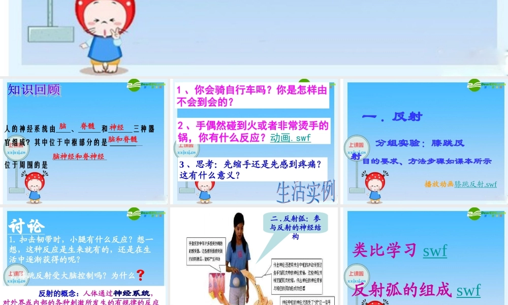 七年级生物下册 神经调节的基本方式课件 人教新课标版 课件