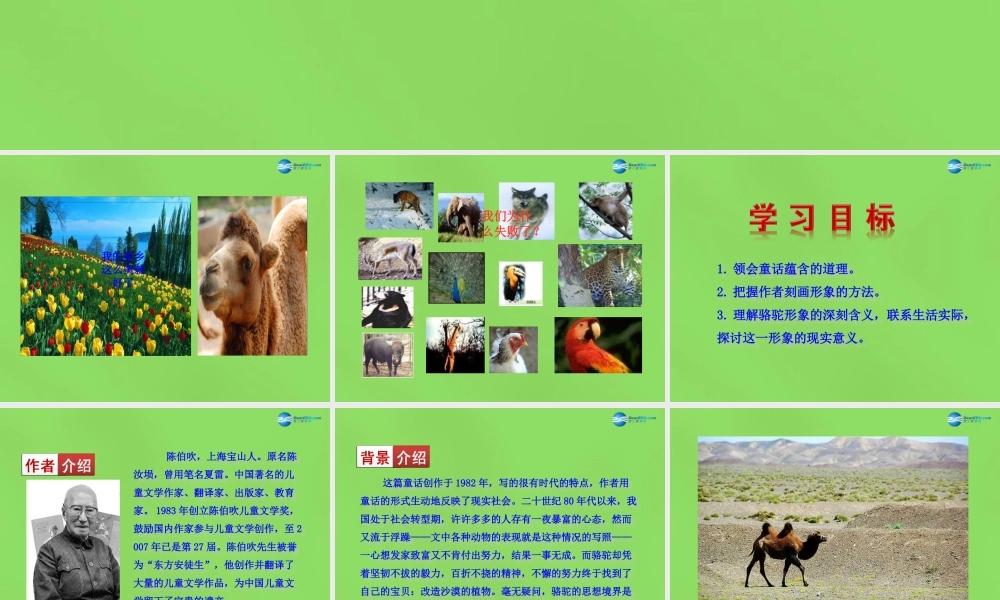 七年级语文下册 9 骆驼寻宝记课件 语文版 课件