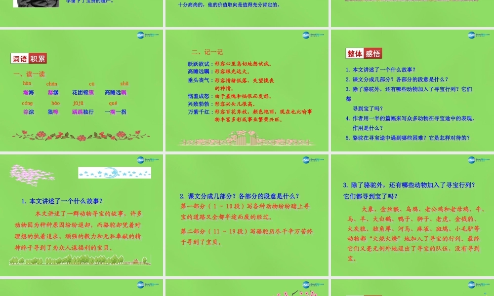 七年级语文下册 9 骆驼寻宝记课件 语文版 课件