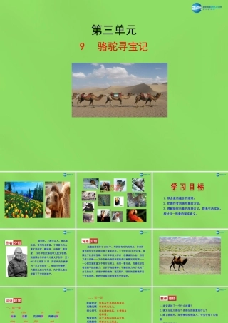 七年级语文下册 9 骆驼寻宝记课件 语文版 课件