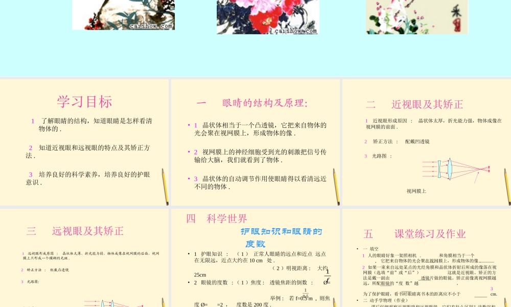 八年级物理下册 8.8(眼睛和眼镜)课件 北京课改版 课件