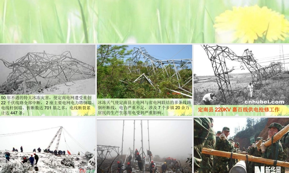 八年级政治下册 公共利益的维护课件 教科版 课件