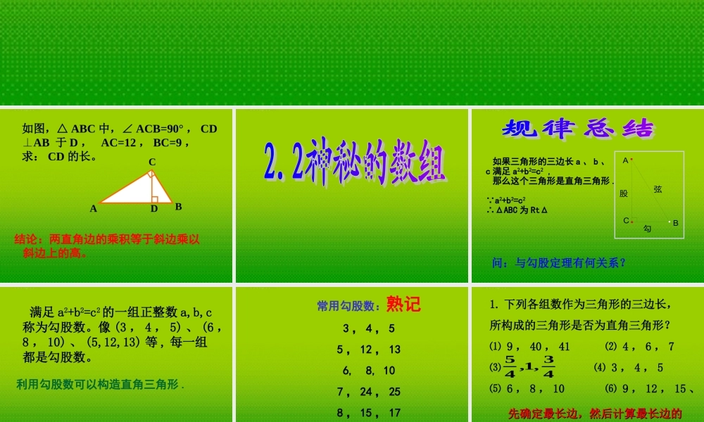 八年级数学上册 (2.2神秘的数组)课件 苏科版 课件