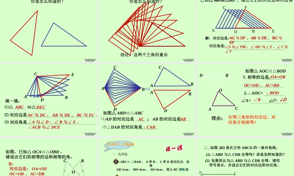 九年级数学图形的全等课件 华东师大版 课件