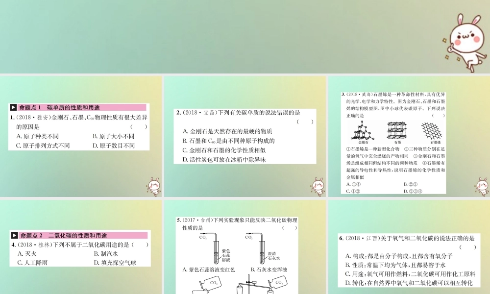 中考化学复习 主题一 身边的化学物质 第2讲 碳和碳的氧化物课件