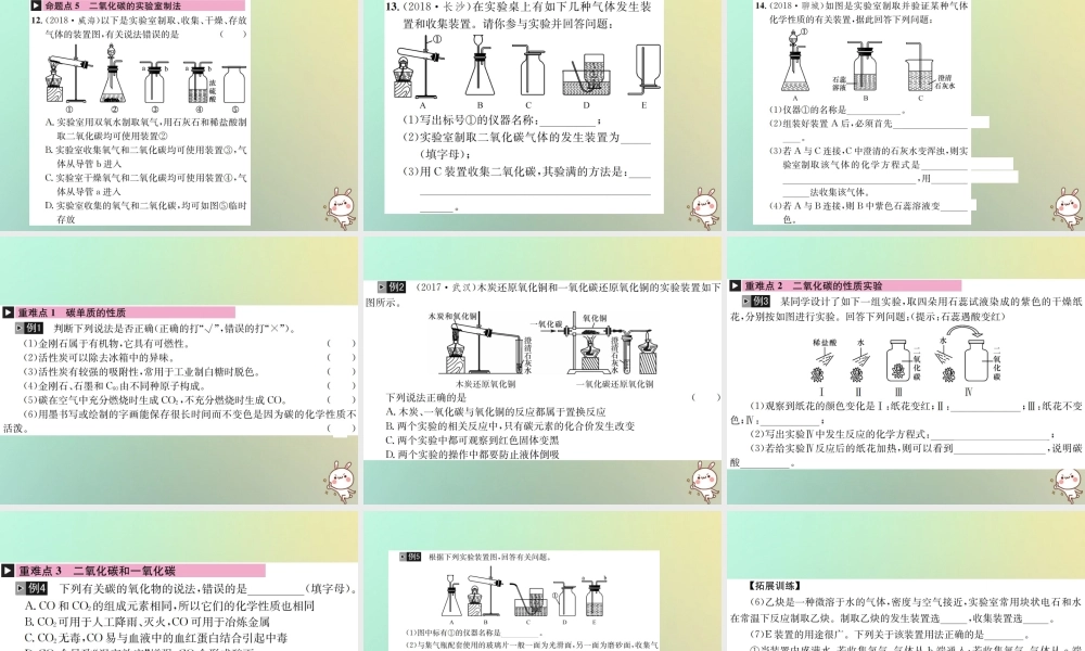 中考化学复习 主题一 身边的化学物质 第2讲 碳和碳的氧化物课件