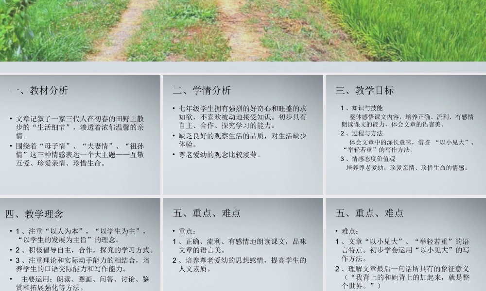 七年级语文上册(散步)课件7 北京课改版 课件