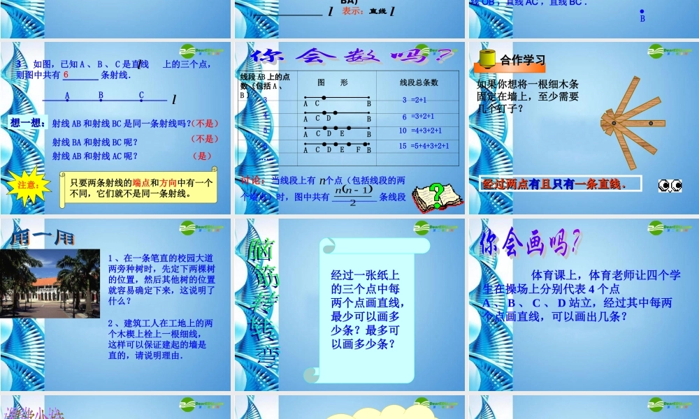 初中七年级数学上册 7.2(线段、射线和直线)课件 浙教版 课件