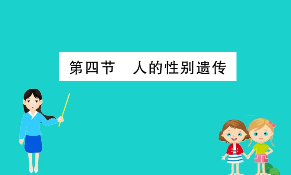 八年级生物下册 7.2.4 人的性别遗传习题课件(新版)新人教版 课件