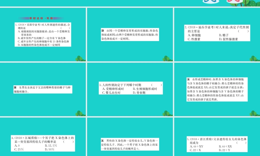 八年级生物下册 7.2.4 人的性别遗传习题课件(新版)新人教版 课件