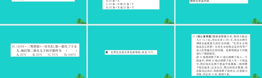 八年级生物下册 7.2.4 人的性别遗传习题课件(新版)新人教版 课件