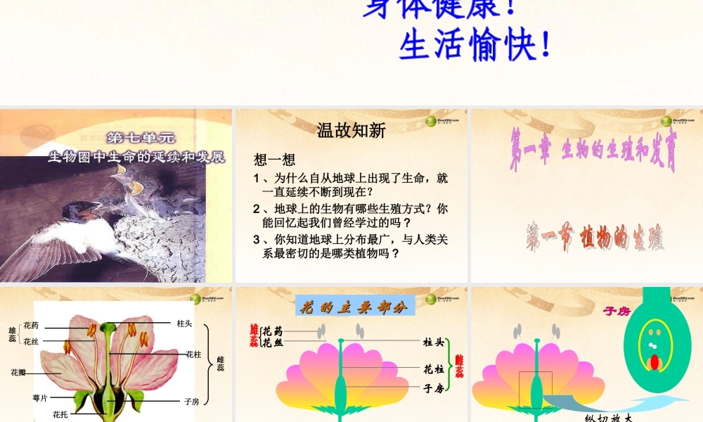 八年级生物下册 第七单元第一章(生物的生殖和发育)第一节(植物的生殖)(第一课时)课件 新人教版 课件