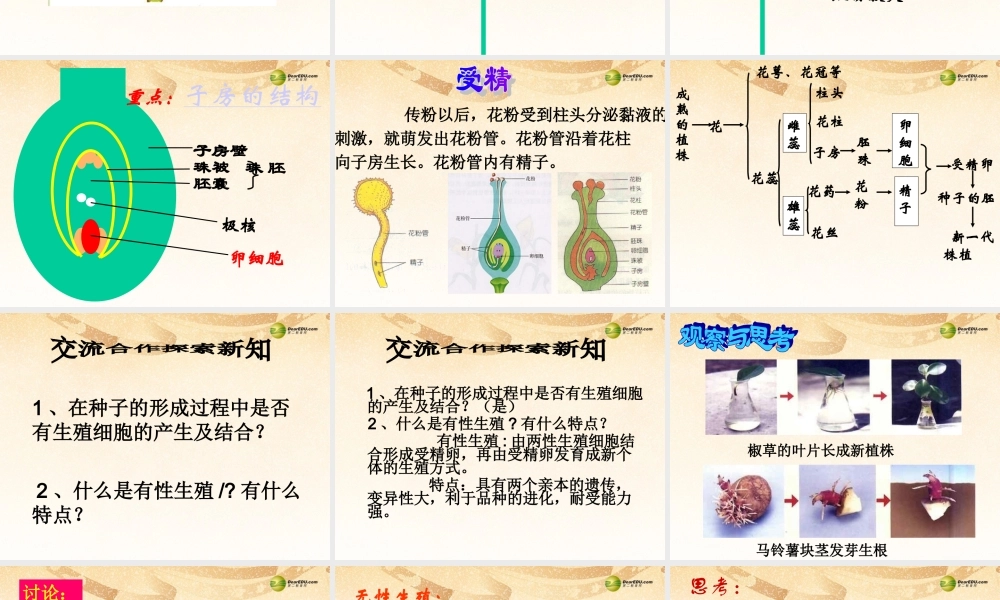 八年级生物下册 第七单元第一章(生物的生殖和发育)第一节(植物的生殖)(第一课时)课件 新人教版 课件
