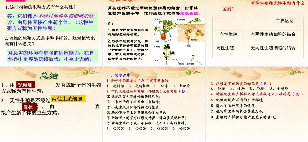 八年级生物下册 第七单元第一章(生物的生殖和发育)第一节(植物的生殖)(第一课时)课件 新人教版 课件