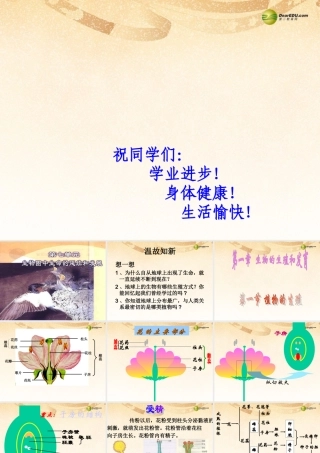 八年级生物下册 第七单元第一章(生物的生殖和发育)第一节(植物的生殖)(第一课时)课件 新人教版 课件