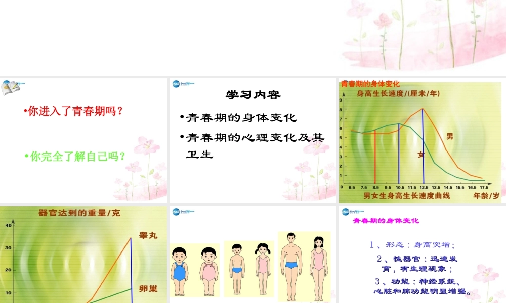 中学七年级生物下册 第一章 第三节 青春期课件 (新版)新人教版 课件